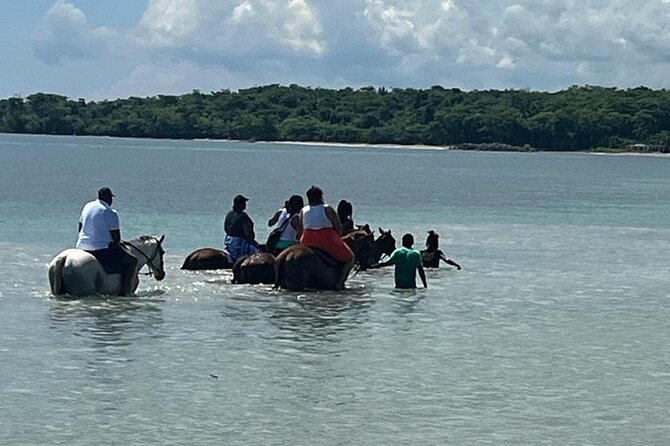 Horseback Riding in the Ocean from Ocho Rios & Runaway Bay - Getting comfortable with your horse