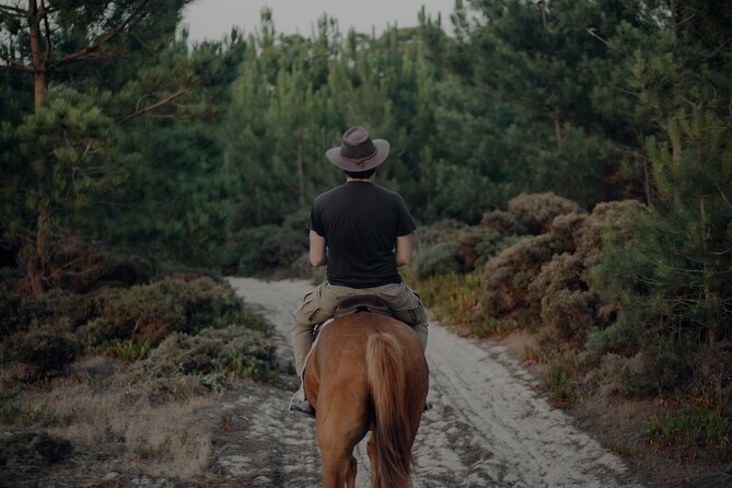 Horseback Riding In The Sand Dunes of Praia do Meco | LITS Horses - Winter rides and quieter beaches