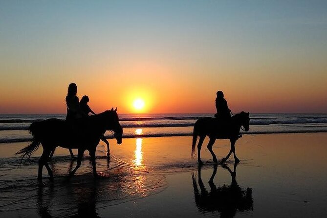 Horseback Riding in the sunset of Famara Beach, Lanzarote, Spain - Key points to know before you book