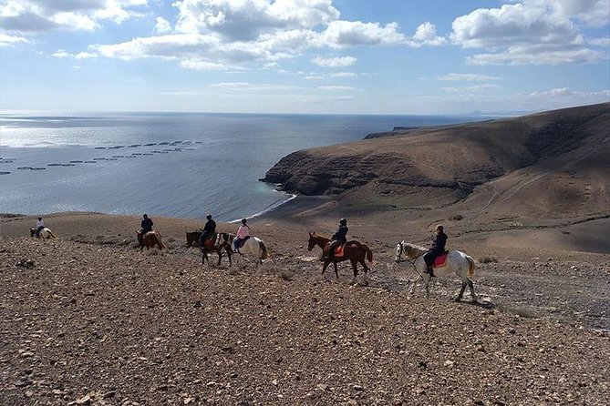 Horseback Riding in the sunset of Famara Beach, Lanzarote, Spain - Pickup, meeting point, and the schedule question