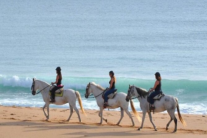 Horseback Riding in the sunset of Famara Beach, Lanzarote, Spain - Who will enjoy this ride most?