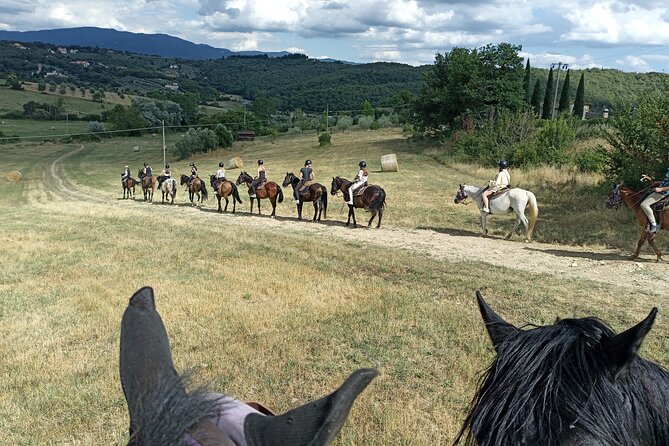 Horseback Riding in the Vineyards - Leaving Florence for the Tuscan countryside