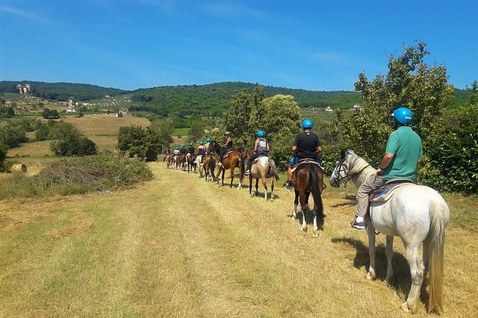 Horseback Riding in the Vineyards - Torre a Cona Vineyards and the Tuscan view