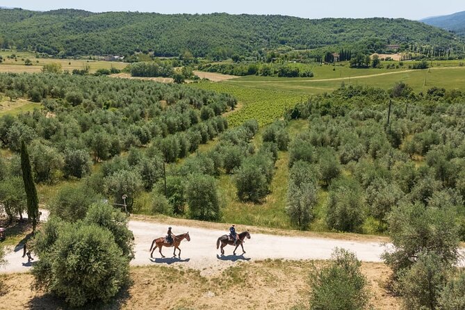 Horseback Riding in the Vineyards - Why the small group and slow pace work well