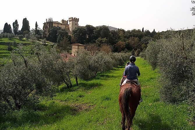 Horseback Riding in the Vineyards - What the $96.12 price gets you