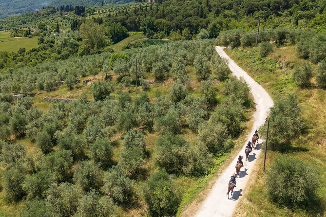 Horseback Riding in the Vineyards - Who will enjoy this ride most