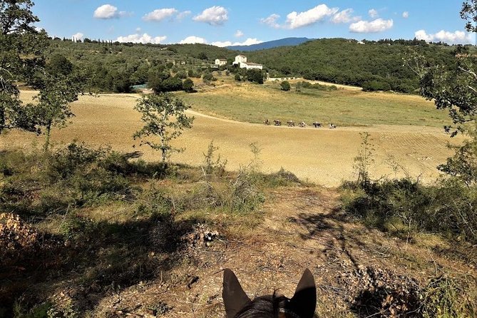 Horseback Riding in the Vineyards - Weather, cancellations, and practical planning