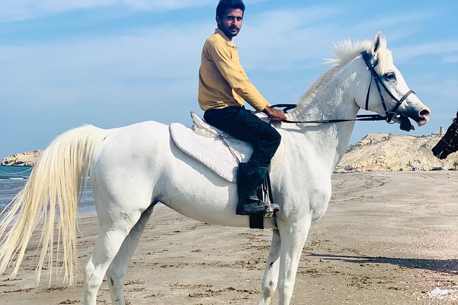 Horseback Riding Muscat Beach - Arriving at the Al Sawadi riding center