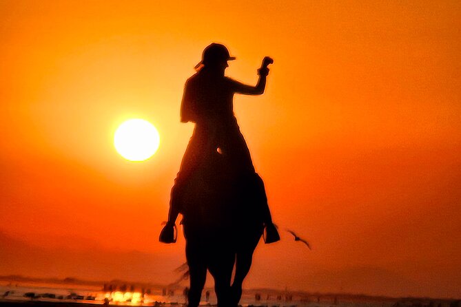 Horseback Riding Muscat Beach - Sunset, sunrise, and the best time to ride