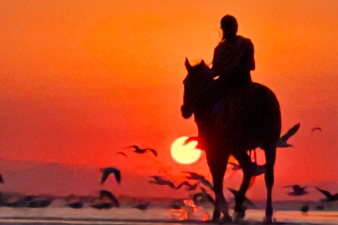 Horseback Riding Muscat Beach - Photos and videos without carrying your phone
