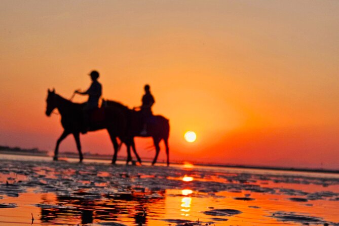 Horseback Riding Muscat Beach - Is $76.66 a fair price?