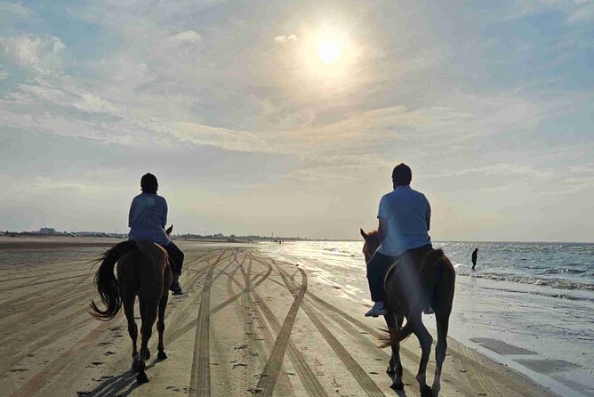 Horseback Riding Muscat Beach - Meeting the horses and getting ready