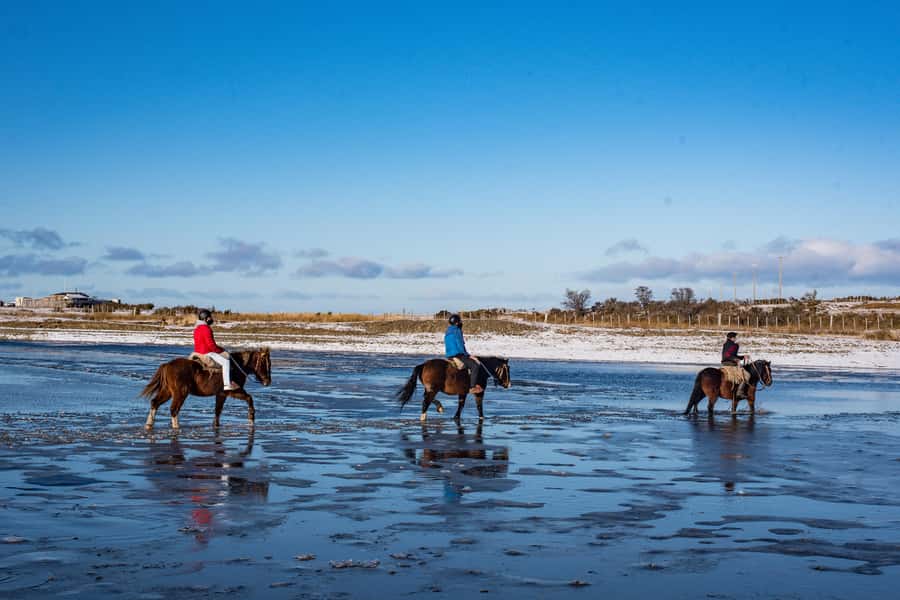 Horseback Riding near Strait of Magellan - From Punta Arenas to Agua Fresca Lodge