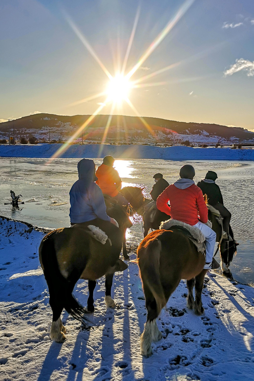 Horseback Riding near Strait of Magellan - Forest trails, riverbed, and beach