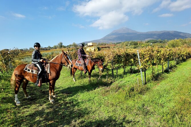 Horseback Riding on Mt. Vesuvius with Wine Tasting and Dinner - What makes this Vesuvius outing worth considering