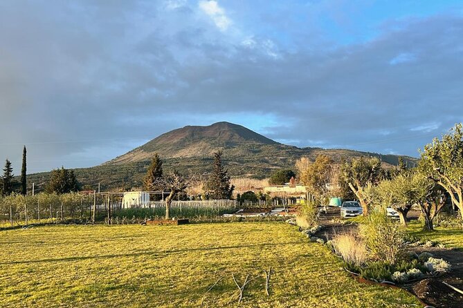 Horseback Riding on Mt. Vesuvius with Wine Tasting and Dinner - A local meal prepared as part of the outing