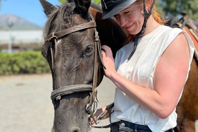 Horseback Riding on Mt. Vesuvius with Wine Tasting and Dinner - How the $170.37 price works for you
