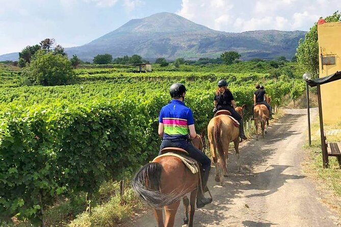 Horseback Riding on Mt. Vesuvius with Wine Tasting and Dinner - The driver, guide, and small-group feel