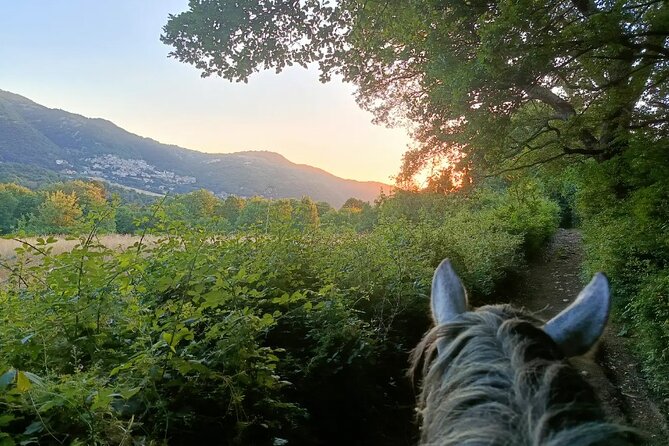 Horseback Riding on Mt. Vesuvius with Wine Tasting and Dinner - Who should book this Vesuvius experience?