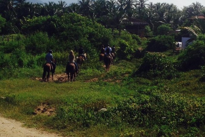 Horseback Riding on the Beach - Key details before you book