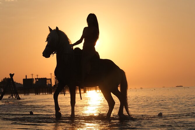 Horseback Riding on the Beach and through the Forest - Lara Beach: sea air and the main photo moment