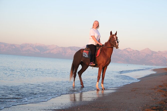 Horseback Riding on the Beach and through the Forest - Who will enjoy this most