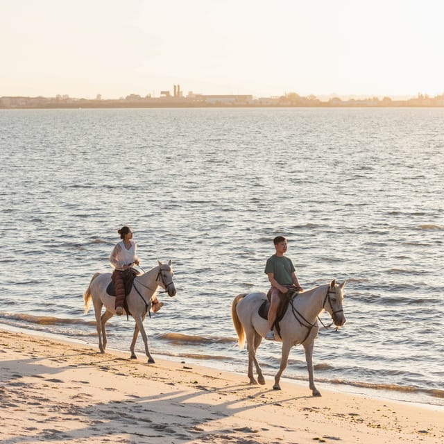 Horseback Riding On The Beach At Sunset - Key points to know before you book