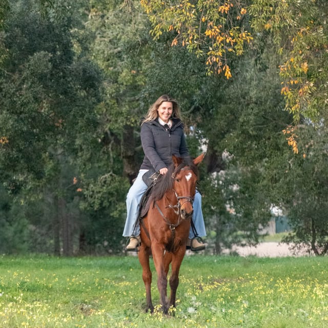 Horseback Riding On The Beach At Sunset - Is $153 a fair price?