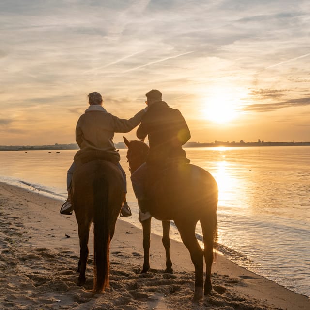 Horseback Riding On The Beach At Sunset - Riding beside the Tagus at Gaio Rosário