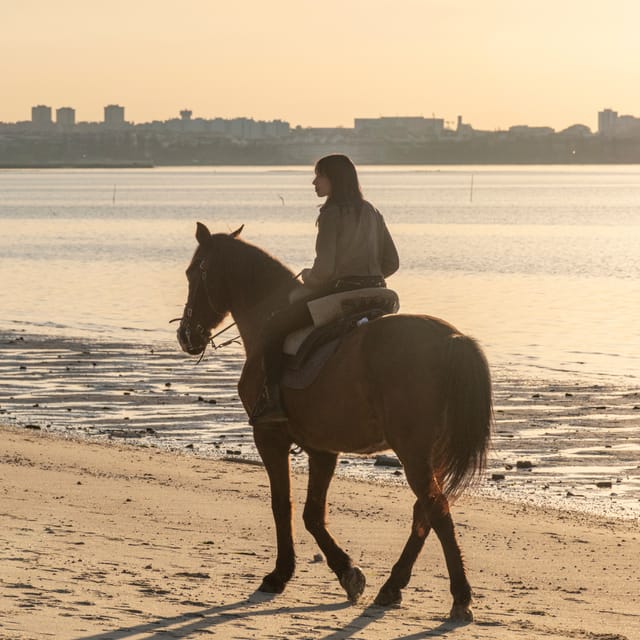 Horseback Riding On The Beach At Sunset - Group size, pace, and guide support