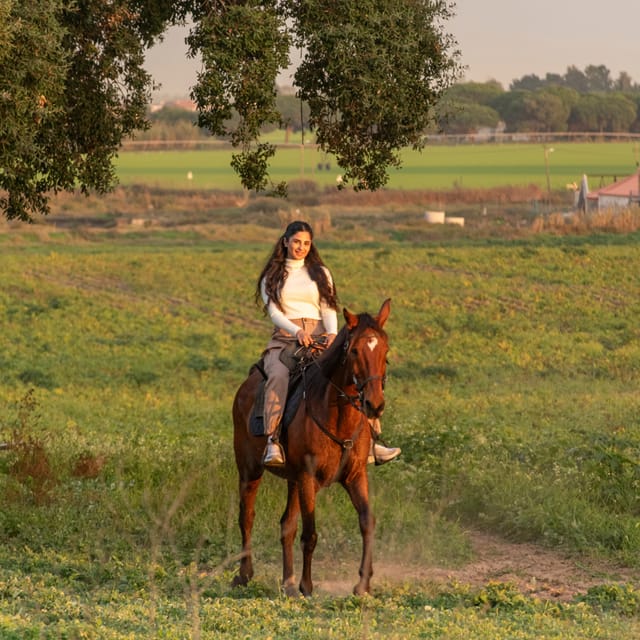 Horseback Riding On The Beach At Sunset - A welcoming base for non-riders