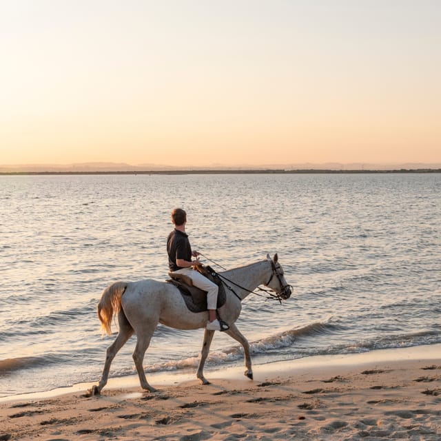 Horseback Riding On The Beach At Sunset - Age, weight, and physical requirements