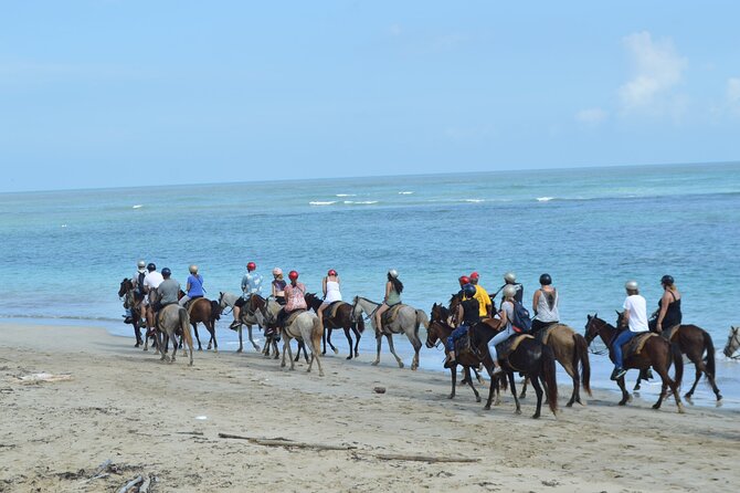 Horseback Riding on the Beach Free Transportation - The sunset option adds atmosphere, not just minutes