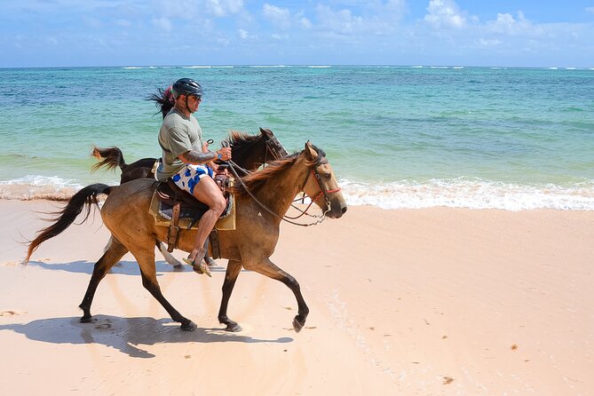 Horseback Riding on the Beach Free Transportation - Is $60 a fair price?