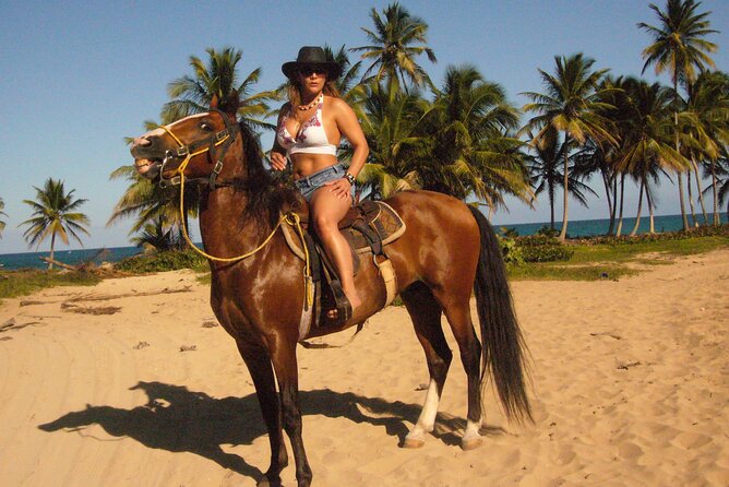 Horseback Riding on the Beach Free Transportation - Choosing a horse and getting comfortable
