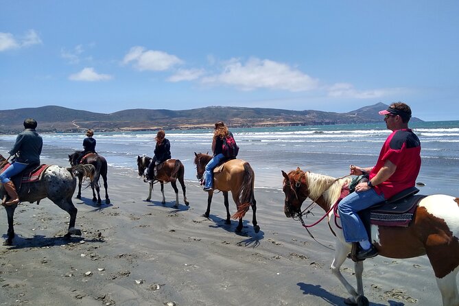 Horseback Riding on the Beach from Ensenada - A beach ride with a relaxed pace