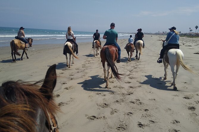 Horseback Riding on the Beach from Ensenada - The ride itself: sea air, sand, and open views