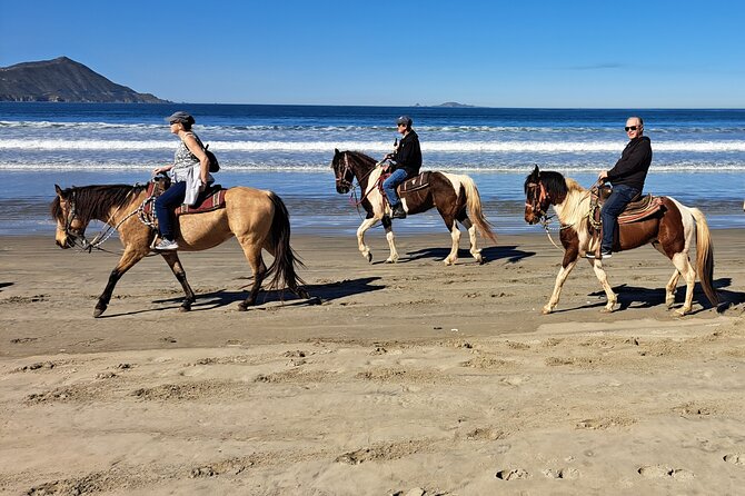 Horseback Riding on the Beach from Ensenada - Cruise-ship timing and the real length of the outing