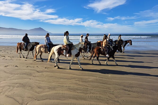 Horseback Riding on the Beach from Ensenada - Is $95 a fair price?