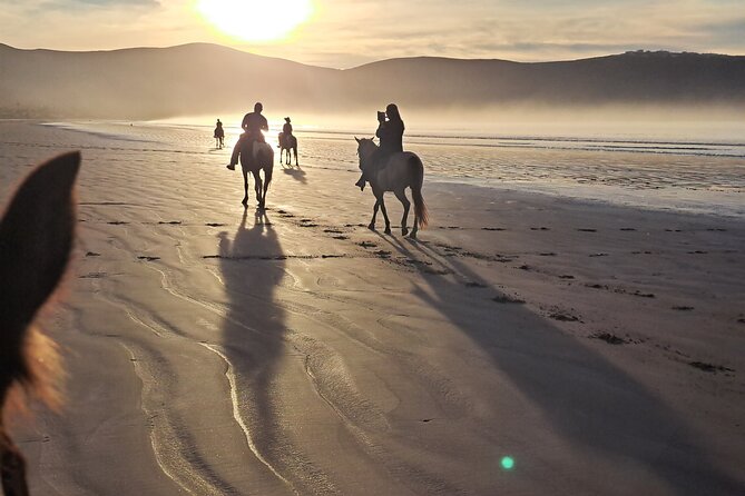 Horseback Riding on the Beach from Ensenada - Who will enjoy this ride most