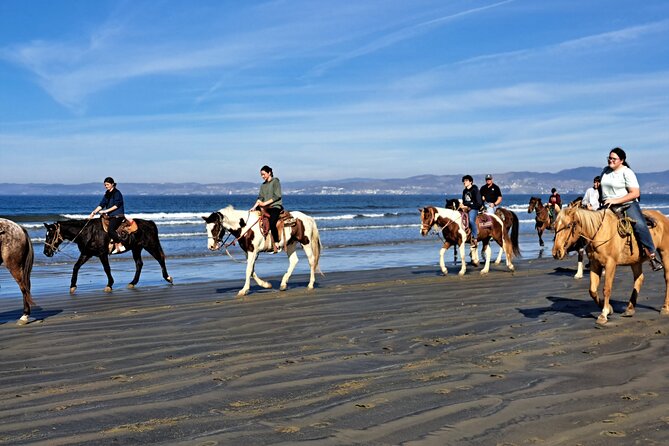 Horseback Riding on the Beach from Ensenada - Small details that improve your day