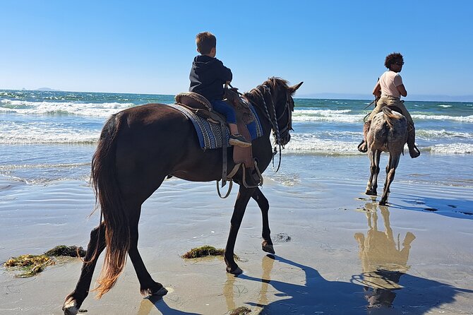 Horseback Riding on the Beach from Ensenada - From the ranch to the shore in five minutes