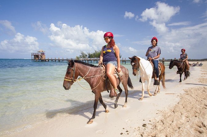 Horseback Riding on the Beach in Punta Cana (One Hour) - Transportation can change the value
