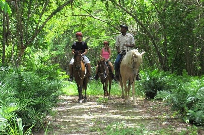 Horseback Riding on the Beach in Punta Cana (One Hour) - What is included, and what will cost extra