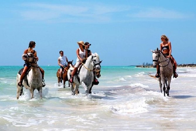 Horseback Riding on the Beach in Punta Cana (One Hour) - From forest shade to Bavaro Beach