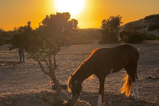 Horseback Riding On The Beach Of Essaouira - Reaching the beach and the Atlantic views