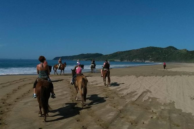 Horseback Riding on the Beach - Getting matched with the right horse