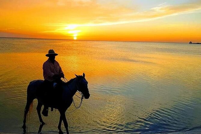Horseback Riding on the Beaches of Holbox - Key points before you book