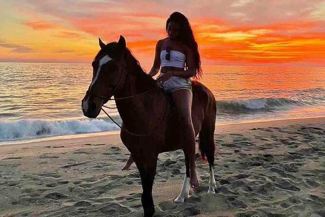 Horseback Riding on the Beaches of Holbox - Starting at Los Potrillos in Holbox