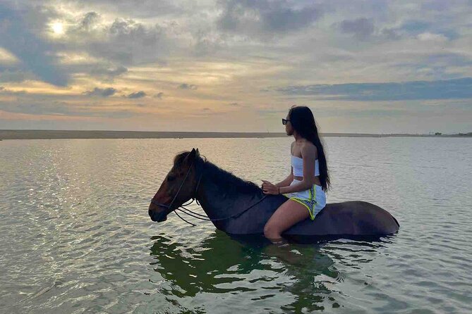 Horseback Riding on the Beaches of Holbox - Is $80.60 a fair price?